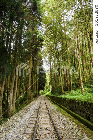 The old forest railway section of Alishan Forest Recreation Area in Chiayi, Taiwan, is now obsolete and unable to operate. The old forest railway section of Alishan Forest Recreation Area in Chiayi, Taiwan, is now obsolete and unable to operate. 101822930