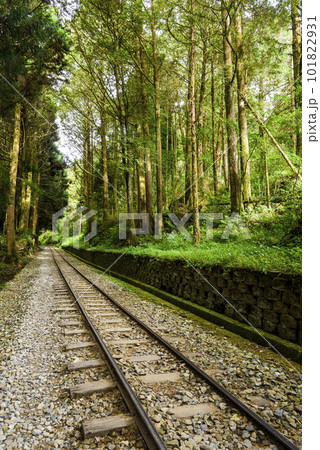 The old forest railway section of Alishan Forest Recreation Area in Chiayi, Taiwan, is now obsolete and unable to operate. The old forest railway section of Alishan Forest Recreation Area in Chiayi, Taiwan, is now obsolete and unable to operate. 101822931