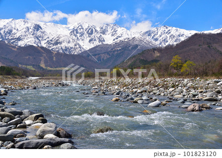 春　残雪　白馬三山 101823120