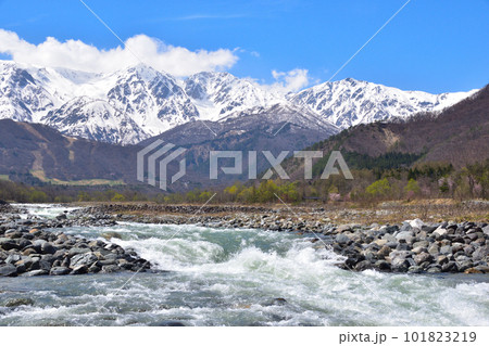 春　残雪　白馬三山 101823219