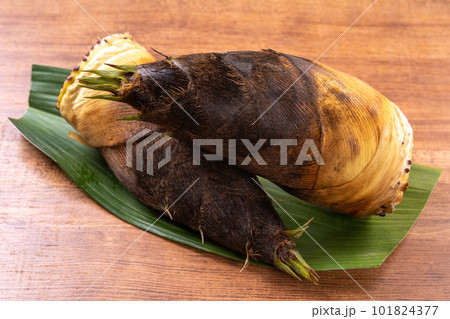 たけのこ 101824377