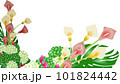 カラーの花と紫陽花とリボンの横長背景フレーム素材 101824442