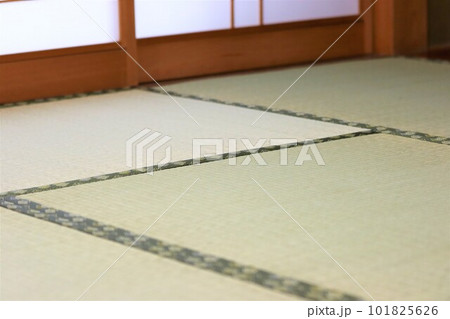 座敷の青畳 101825626