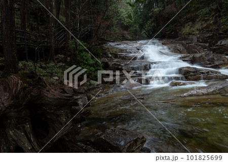 森と龍ヶ瀬　田立の滝 101825699