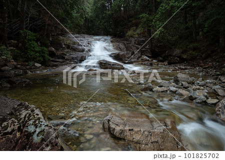 森と龍ヶ瀬　田立の滝 101825702