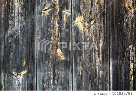 Texture of old wooden barn wall as background. 101825793