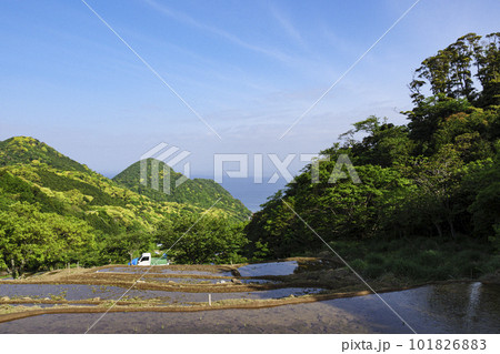 伊豆半島の石部の棚田(春) 伊豆半島の石部の棚田(春) 101826883