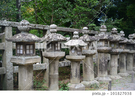 石清水八幡宮上院参道の石燈籠 101827038