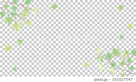 summer green autumn leaves background illustration 101827547