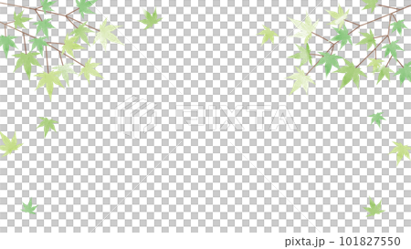 summer green autumn leaves background illustration 101827550