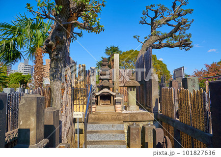 東京都豊島区のお岩さんの墓で有名な妙行寺 101827636