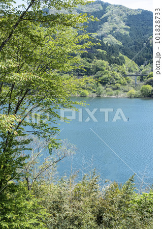 新緑・初夏のサイクリングイメージ（奥津湖周辺） 101828733