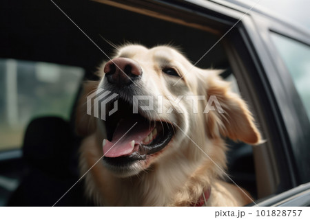 Dog travels in style, feeling the wind in its fur as it takes a joyride in the car, enjoying the freedom of the open road. AI Generative. 101828757