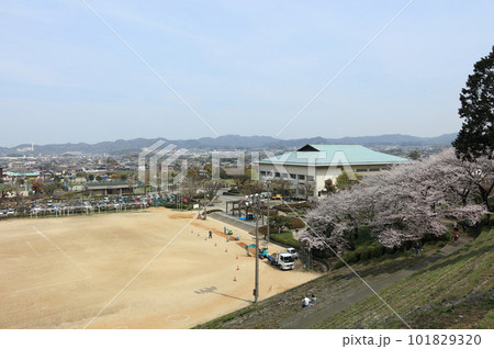 さくら咲く春の山根公園、山根グラウンドと体育館 さくら咲く春の山根公園、山根グラウンドと体育館 101829320