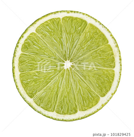 Lime slice isolated on white background 101829425