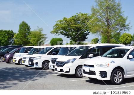 駐車場の自家用車 101829660