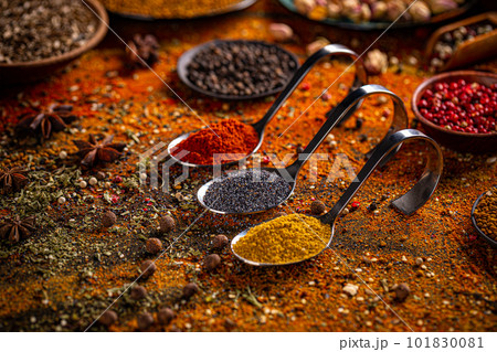 Various spices selection. 101830081