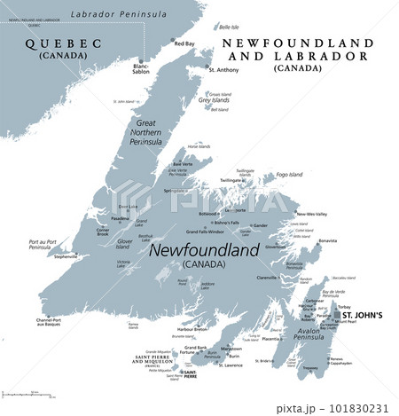 Island of Newfoundland, gray political map. Part of Canadian province of Newfoundland and Labrador with capital St. Johns. Island off the coast of mainland North America southwest of Labrador Sea. 101830231