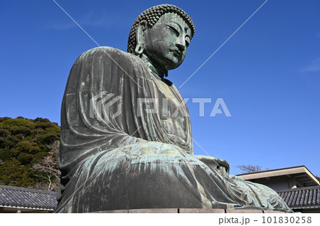 大仏　鎌倉　仏像 101830258