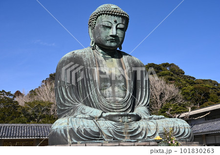 大仏　鎌倉　仏像 101830263