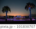 よみうりランド　イルミネーション　ジュエルミネーション 101830707