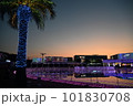 よみうりランド　イルミネーション　ジュエルミネーション 101830708