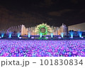 よみうりランド　噴水　イルミネーション　ジュエルミネーション 101830834