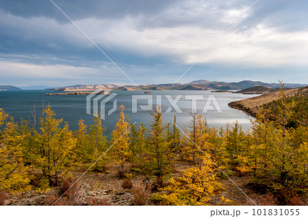 Autumn landscape with trees and a view of Lake Baikal. Yellow trees in the foreground. Clouds in the sky. Horizontal. 101831055
