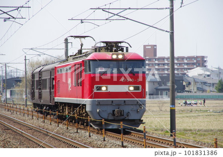 えちごトキめき鉄道 オヤ31甲種 EF510 松任付近 101831386