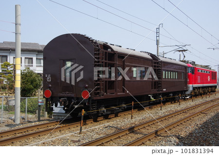 えちごトキめき鉄道 オヤ31甲種 EF510 松任付近 えちごトキめき鉄道 オヤ31甲種 EF510 松任付近 101831394