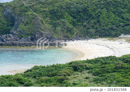 沖縄県渡嘉敷島の自然の景色　裏ヶ丘展望台 101831566