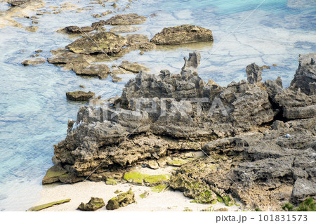 沖縄県渡嘉敷島の自然の景色　裏ヶ丘展望台 101831573