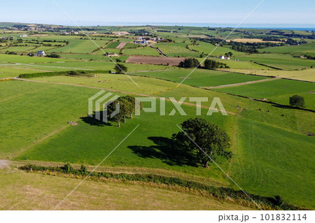 Fields, farm plots in the south of Ireland, top view. Irish agrarian landscape. Green fields on a sunny summer day. Green grass field under blue sky 101832114