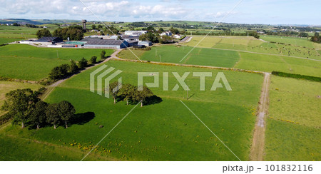 farm plots in the south of Ireland, top view. Irish agrarian landscape. Green fields on a sunny summer day. Green grass field under blue sky 101832116