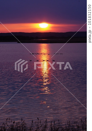 北海道 シラルトロ湖の夕陽 北海道 シラルトロ湖の夕陽 101832150