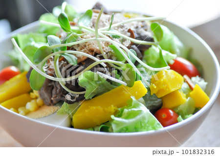 salad or beef salad, beef and vegetable salad or mixed vegetable salad. salad or beef salad, beef and vegetable salad or mixed vegetable salad. 101832316