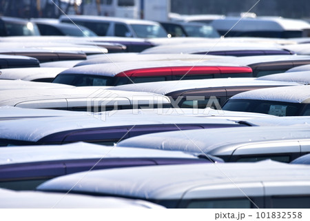 車のモータープール、納車前、新車、天井 車のモータープール、納車前、新車、天井 101832558