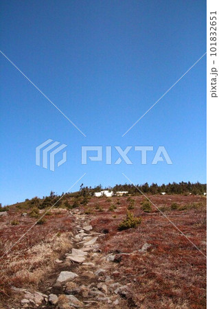 四阿山 四阿山 101832651