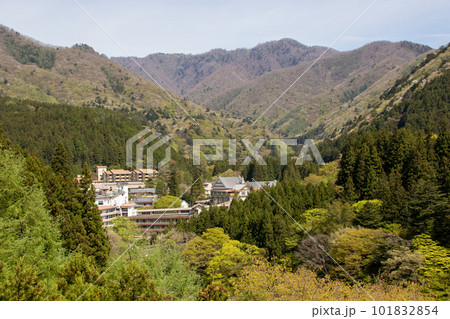 新緑の四万温泉　群馬県中之条町 101832854