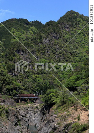 新緑の飛水峡を走る高山本線普通列車 101832915
