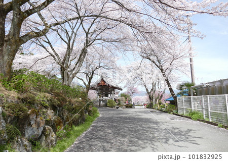 岐阜県 池田町 湯華の郷付近の春の風景 岐阜県 池田町 湯華の郷付近の春の風景 101832925