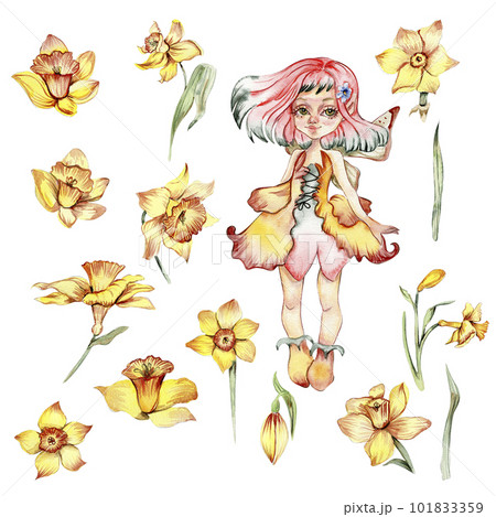 Narcissus, watercolor flower set with fary girl. Hand drawn illustration. Summer yellow garden. Designf for baby shower party, birthday, cake, holiday celebration design, greetings card, invitation. 101833359