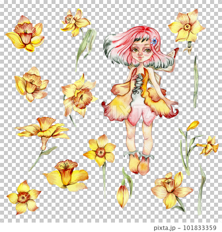 Narcissus, watercolor flower set with fary girl. Hand drawn illustration. Summer yellow garden. Designf for baby shower party, birthday, cake, holiday celebration design, greetings card, invitation. 101833359