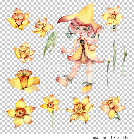 Narcissus, watercolor flower set with fary girl. Hand drawn illustration. Summer yellow garden. Designf for baby shower party, birthday, cake, holiday celebration design, greetings card, invitation. Narcissus, watercolor flower set with fary girl. Hand drawn illustration. Summer yellow garden. Designf for baby shower party, birthday, cake, holiday celebration design, greetings card, invitation. 101833360
