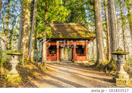 戸隠神社五社 101833527