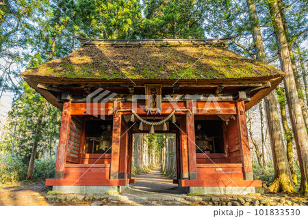 戸隠神社五社 101833530