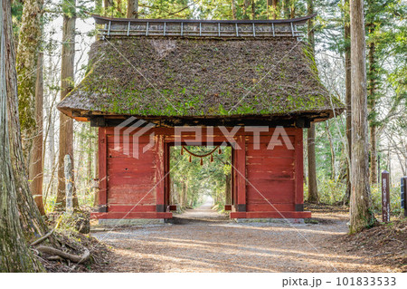 戸隠神社五社 101833533