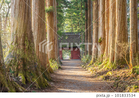 戸隠神社五社 101833534