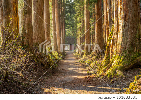 戸隠神社五社 101833535