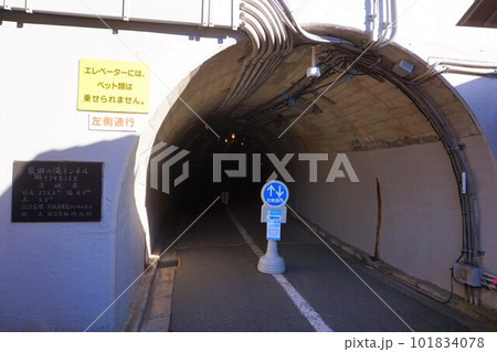 袋田の滝　ふくろだのたき　四度の滝　袋田の滝トンネル 101834078